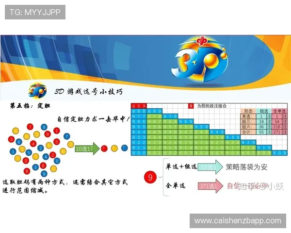 幸运11选5精彩视频解析带你全面了解选号技巧与投注技巧