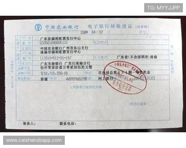 掌握11选5新浪彩票技巧提升中奖概率的全面攻略