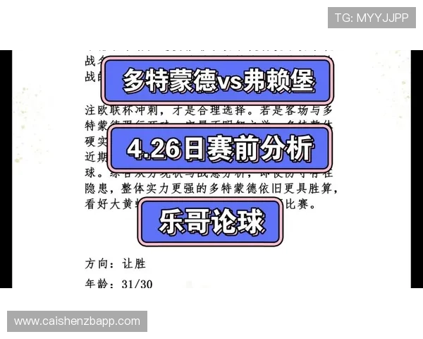 弗赖堡足球俱乐部最新身价分析及其在德甲联赛中的市场地位