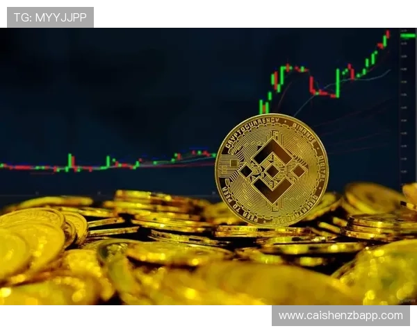精准解析十一选五走势规律助力投注策略优化方案探索