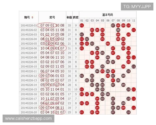 11选5投注技巧全面解析与选号策略深度揭秘