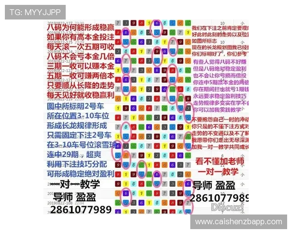 幸运飞艇揭秘背后的投注技巧与精准计划全流程深度解析指南分享